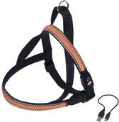 Nobby Lichtgevende Tuig - Hond - Oranje - Buikband: 50 tot 65 cm - Borstband: 48 cm