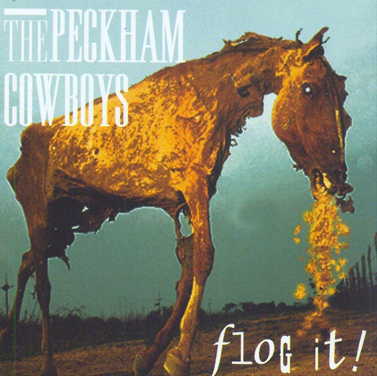 Flog It!