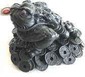 Feng Shui kikker met munt  zwart  9x10x7cm