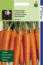 Hortitops Pilstar Carrots Verb. de Nantes