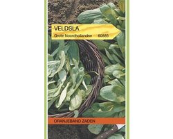 OBZ 660885 Veldsla Grote Noordhollandse