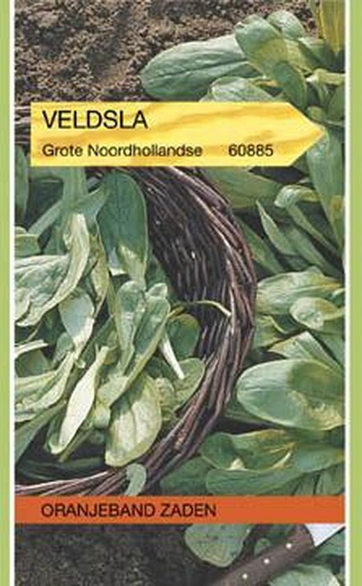 Veldsla Grote Noordhollandse, Oranjeband Zaden, 60885.