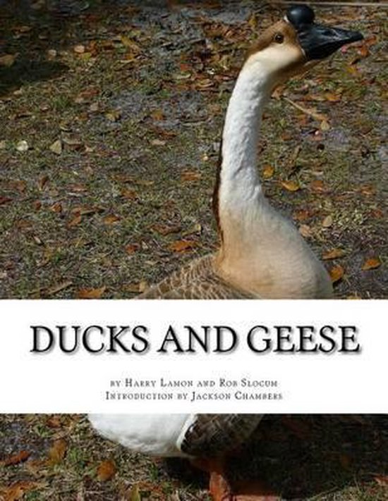 Ducks and Geese - cover