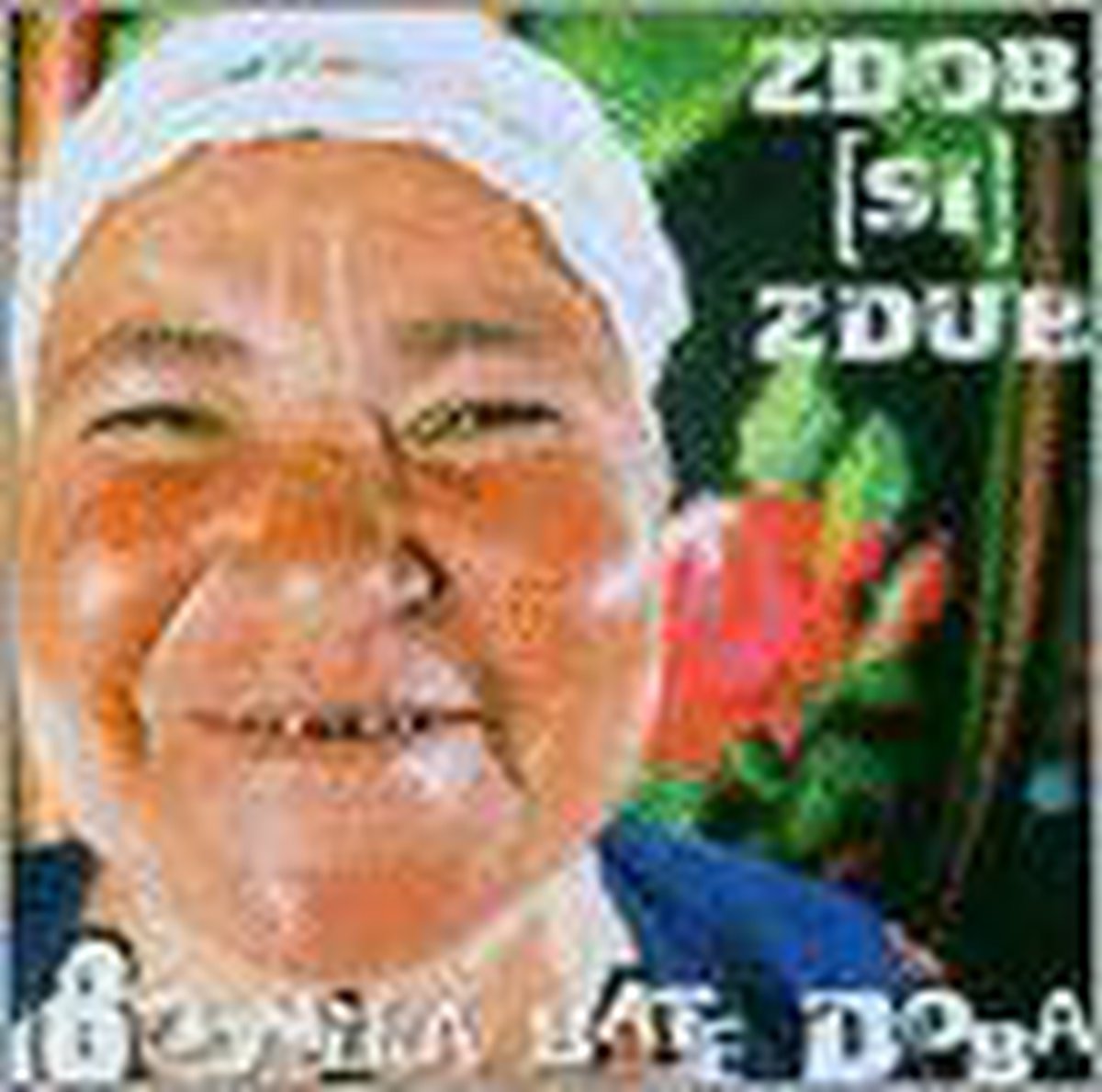 Zdob Si Zdue-boonika Bate Doba