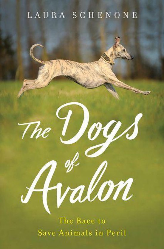 The Dogs of Avalon - cover