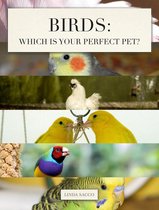 Birds: Which is Your Perfect Pet?
