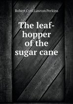 The leaf-hopper of the sugar cane