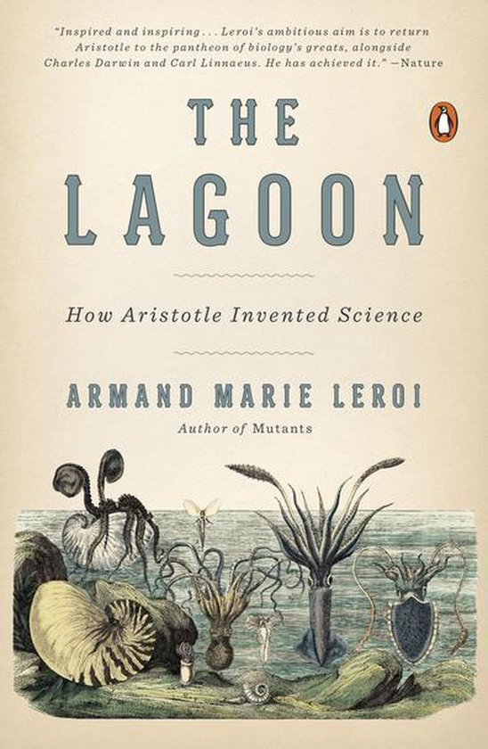 The Lagoon - cover