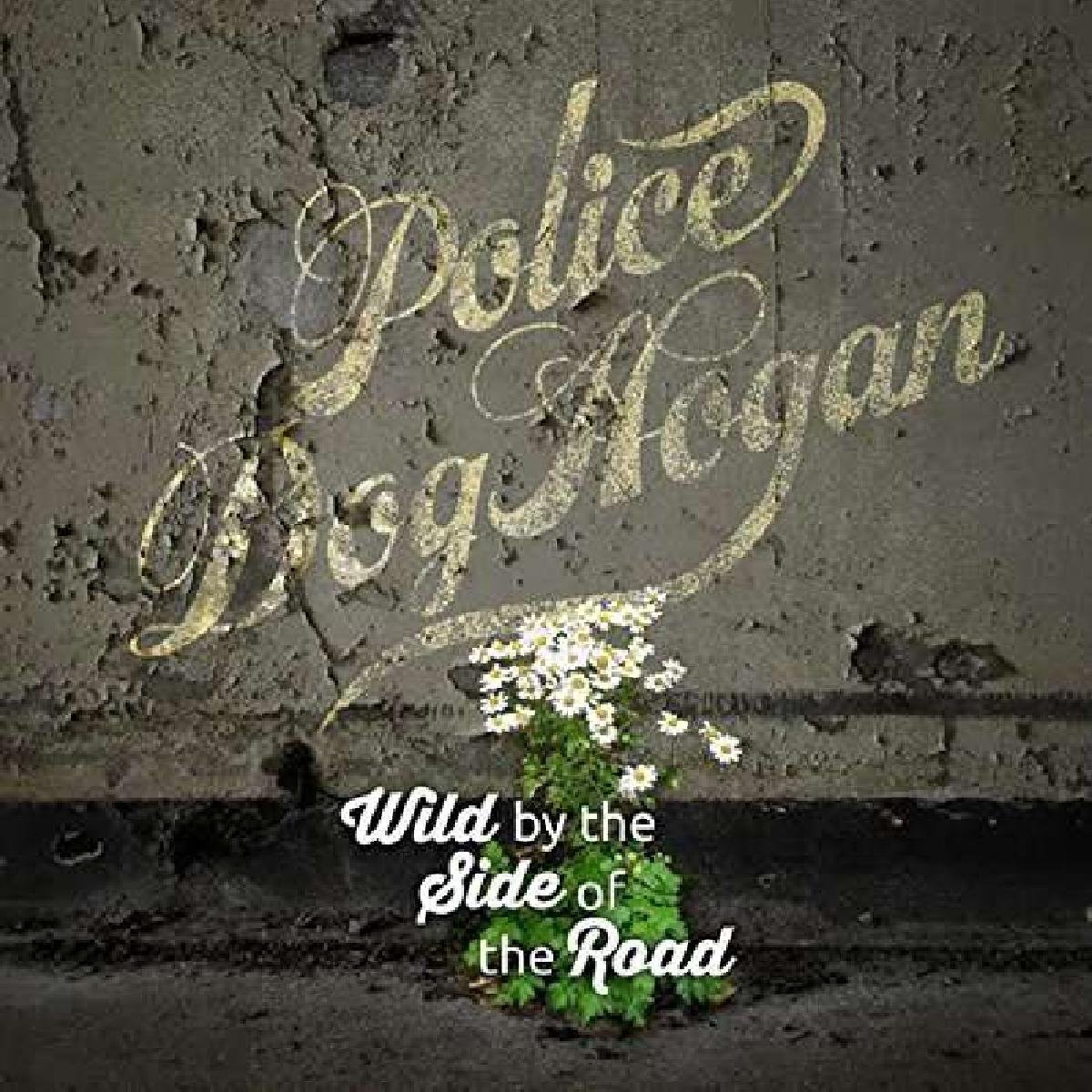 Wild By The Side Of The Road