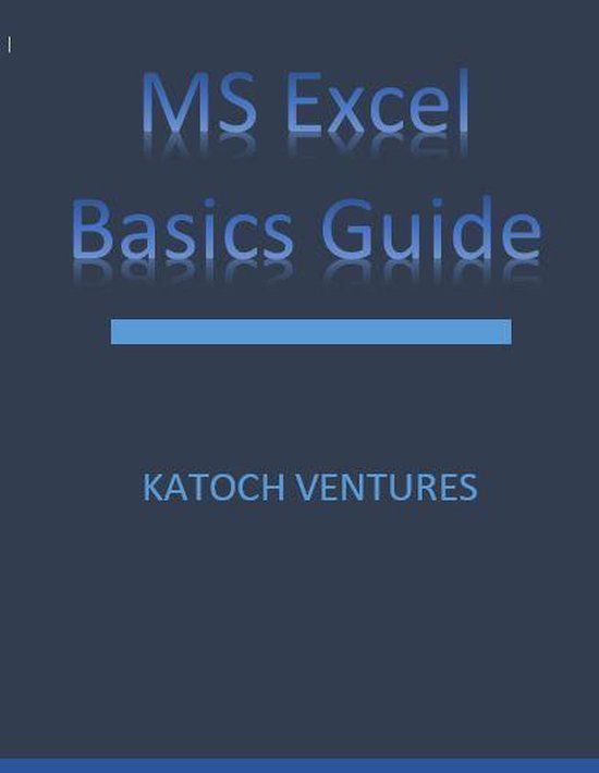 MS Excel Basics Guide - cover