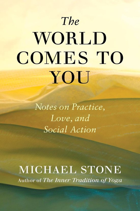 The World Comes to You: Notes on Practice, Love, and Social  ... - cover