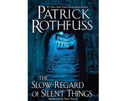 Omslag van Slow Regard of Silent Things