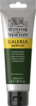 Winsor & Newton Galeria Acryl 120ml Hooker's Green