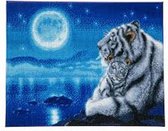 Diamond Painting Crystal Art Kit® White Tigers - 40x50 cm