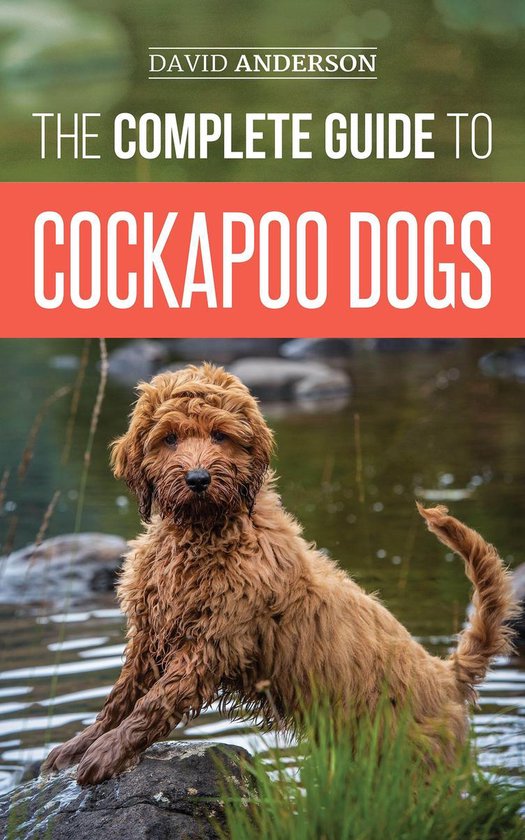 The Complete Guide to Cockapoo Dogs