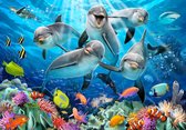 Papier peint photo Dolphins XXL - chambre d'enfant - papier peint poster - 368 x 254 cm
