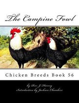 The Campine Fowl
