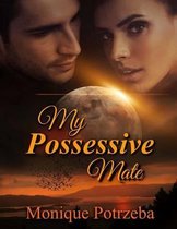 My Possessive Mate