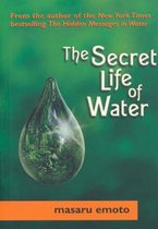 The Secret Life of Water