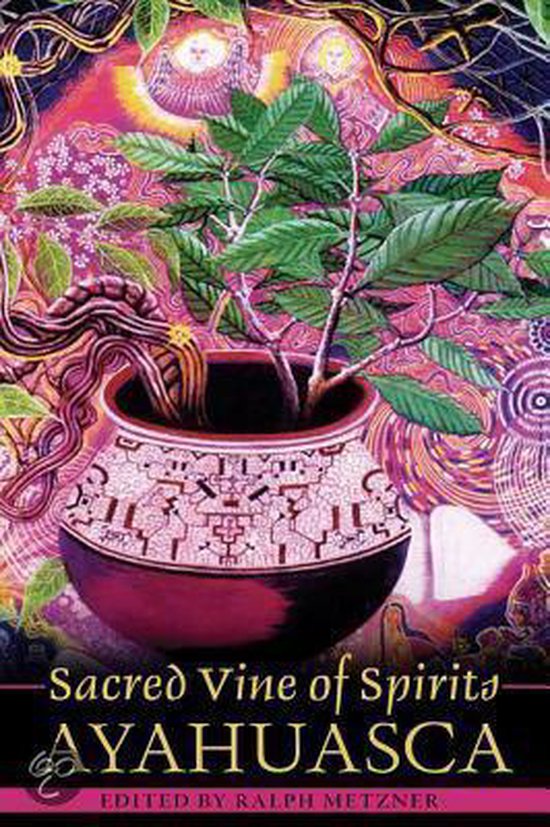 Boekcover 'Sacred Vine of Spirits' met een schaal met een plant erin en psychedelische achtergrond.
