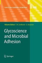 Glycoscience and Microbial Adhesion