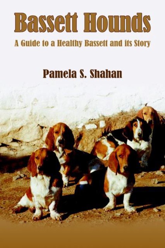 Foto: Bassett hounds