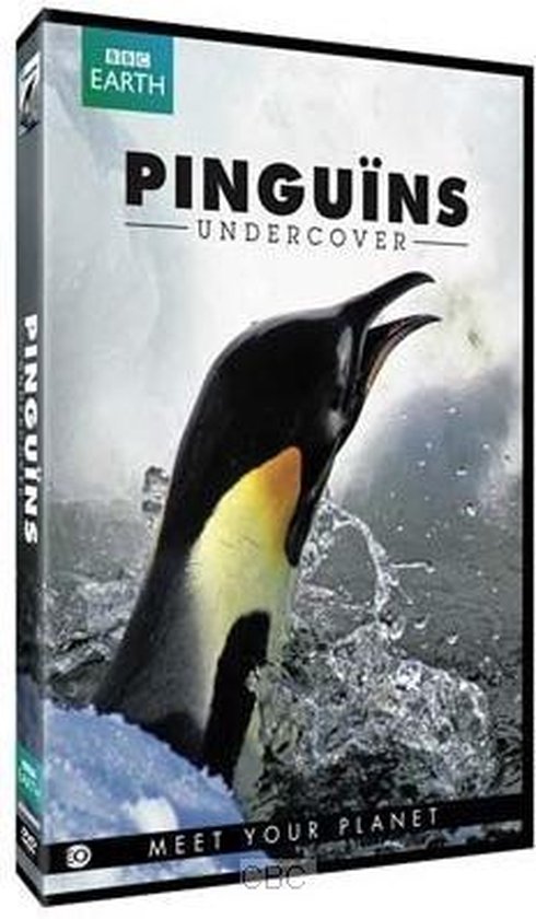 Pinguins Undercover