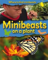 Where to Find Minibeasts