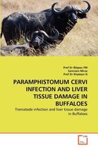 Paramphistomum Cervi Infection and Liver Tissue Damage in Buffaloes