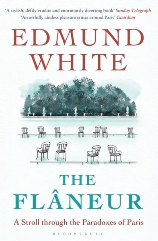 the flaneur by edmund white