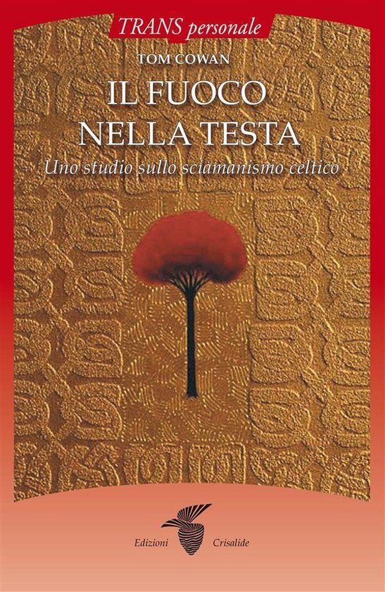 Il fuoco nella testa - cover