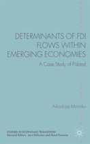 Determinants of FDI Flows within Emerging Economies