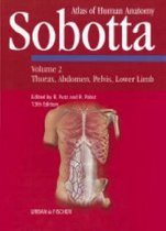 Sobotta Atlas of Human Anatomy