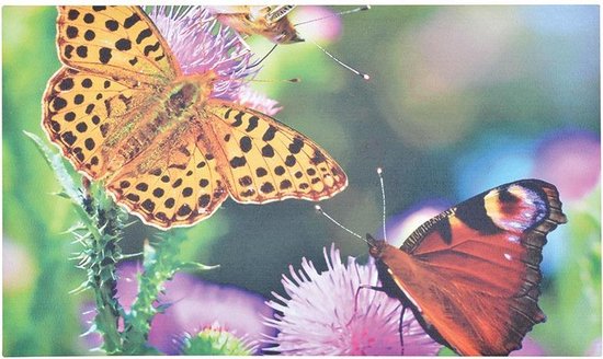 Deurmat vlinder | bol.com