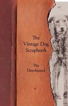 The Vintage Dog Scrapbook - The Deerhound