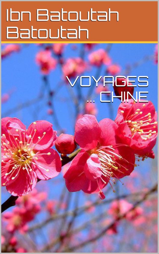 VOYAGES ... CHINE