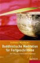 Buddhistische Meditation für Fortgeschrittene