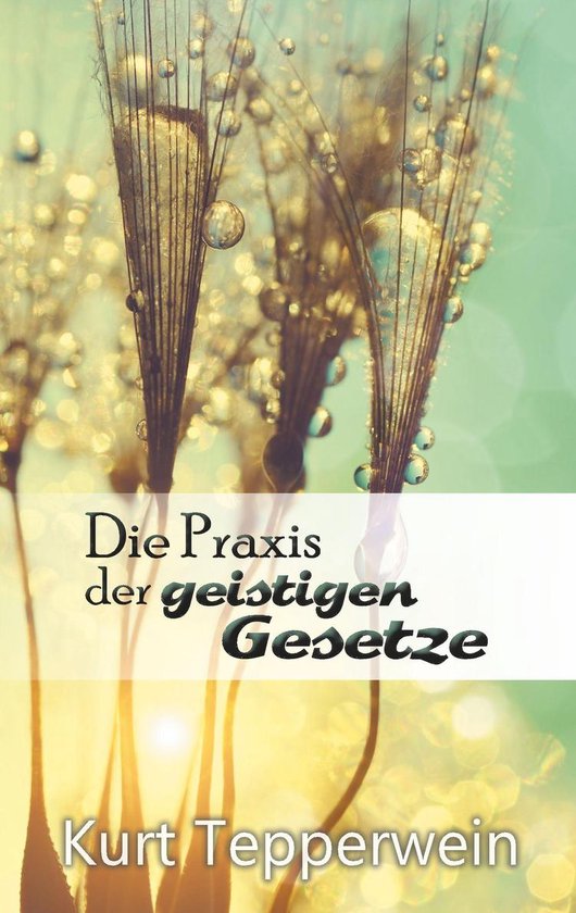 Die Praxis der geistigen Gesetze - cover