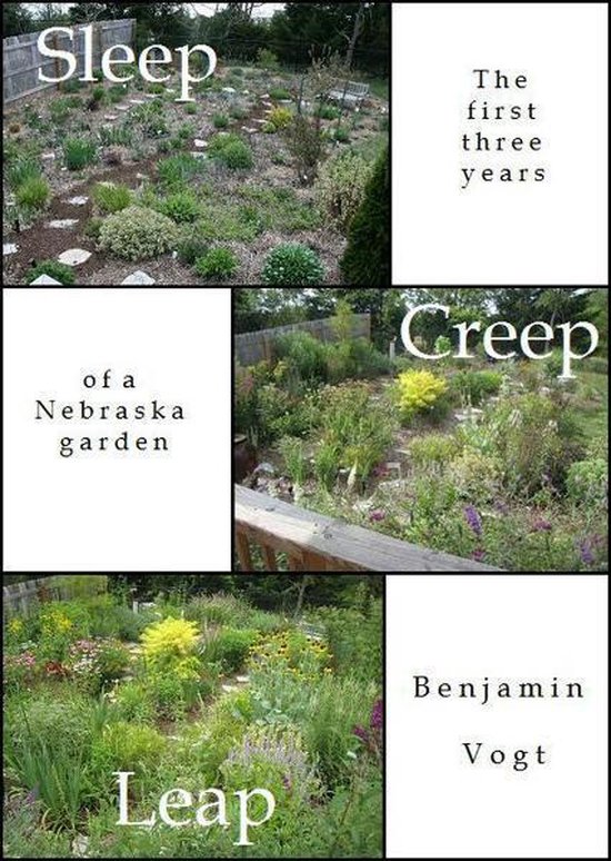 Sleep, Creep, Leap - cover