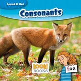 Sound It Out (LOOK! Books ™) - Consonants