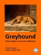 Levrieri 5 - Greyhound. Breve saggio su una razza millenaria.