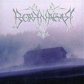 Borknagar