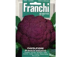 Fr Cavolfiore Sicilia Violetto - Bloemkool Violet 30/29