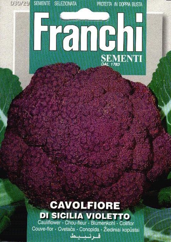 Franchi Sementi Bloemkool Violet zaden – Cavolfiore Sicilia Violetto