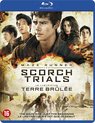 Maze Runner: Scorch Trials (Blu-ray)