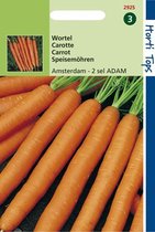 Hortitops Zaden - Wortelen Amsterdamse Bak 2 - Adam
