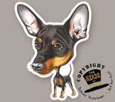 Magneet Hond Miniature Pinscher