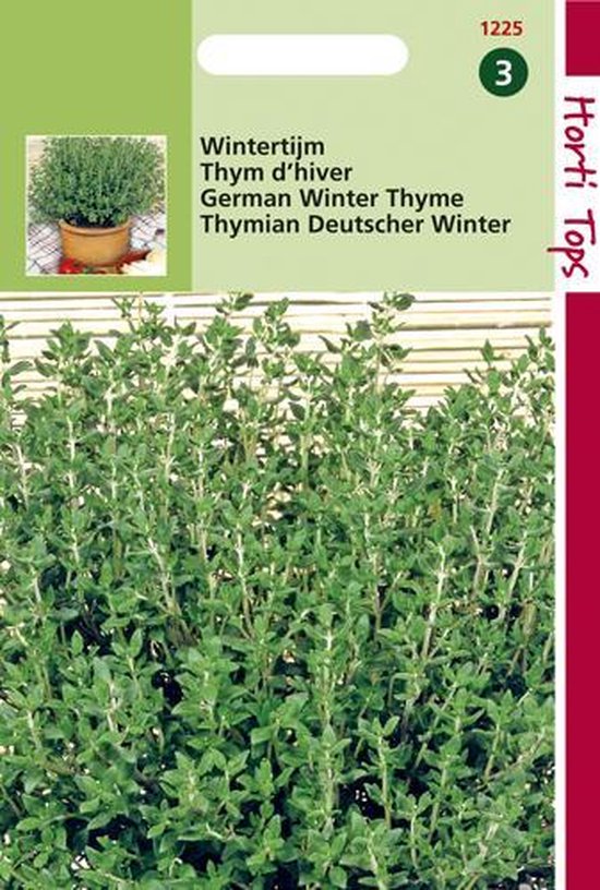 Tijm (Thymus vulgaris)