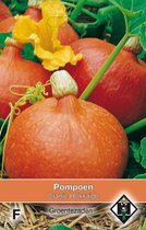 Van Hemert & Co - Pompoen Oranje Hokkaido (Cucurbita maxima)