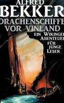 Drachenschiffe vor Vinland